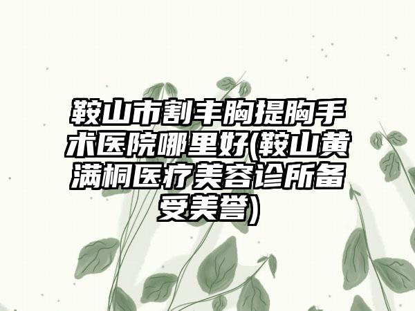 鞍山市割丰胸提胸手术医院哪里好(鞍山黄满桐医疗美容诊所备受美誉)