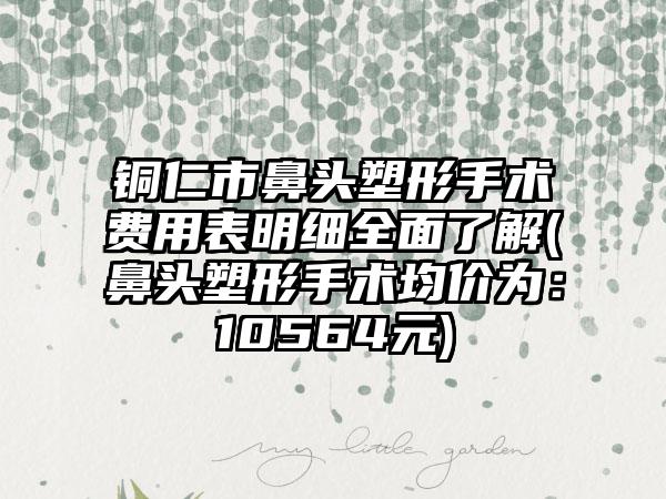 铜仁市鼻头塑形手术费用表明细全面了解(鼻头塑形手术均价为：10564元)