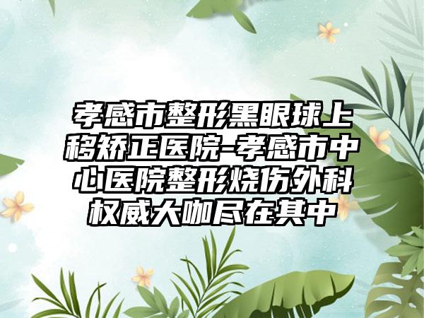 孝感市整形黑眼球上移矫正医院-孝感市中心医院整形烧伤外科权威大咖尽在其中