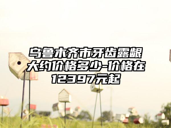乌鲁木齐市牙齿露龈大约价格多少-价格在12397元起
