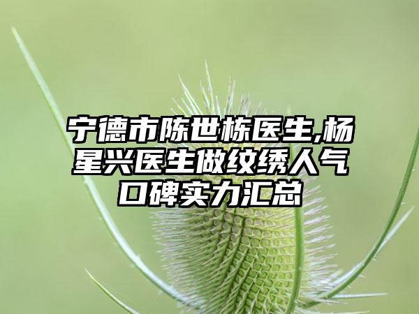 宁德市陈世栋医生,杨星兴医生做纹绣人气口碑实力汇总
