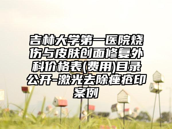 吉林大学第一医院烧伤与皮肤创面修复外科价格表(费用)目录公开-激光去除痤疮印案例