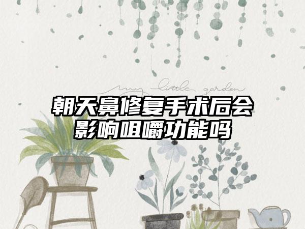 朝天鼻修复手术后会影响咀嚼功能吗