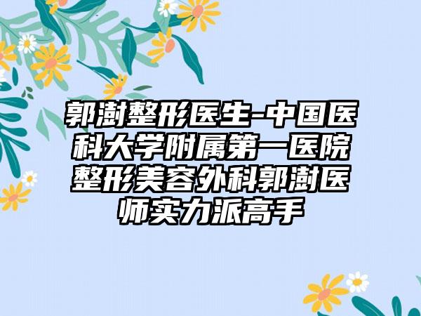 郭澍整形医生-中国医科大学附属第一医院整形美容外科郭澍医师实力派高手