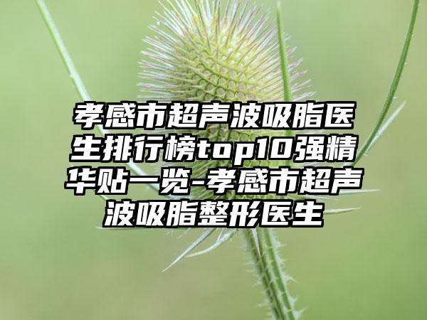 孝感市超声波吸脂医生排行榜top10强精华贴一览-孝感市超声波吸脂整形医生
