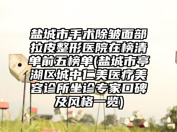 盐城市手术除皱面部拉皮整形医院在榜清单前五榜单(盐城市亭湖区城中仁美医疗美容诊所坐诊专家口碑及风格一览)