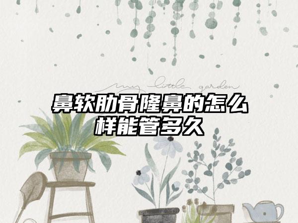 鼻软肋骨隆鼻的怎么样能管多久