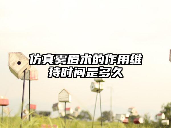 仿真雾眉术的作用维持时间是多久