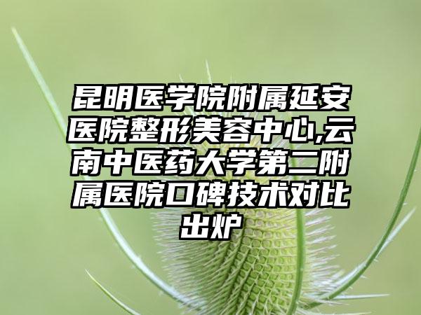昆明医学院附属延安医院整形美容中心,云南中医药大学第二附属医院口碑技术对比出炉