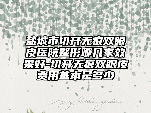 盐城市切开无痕双眼皮医院整形哪几家效果好-切开无痕双眼皮费用基本是多少