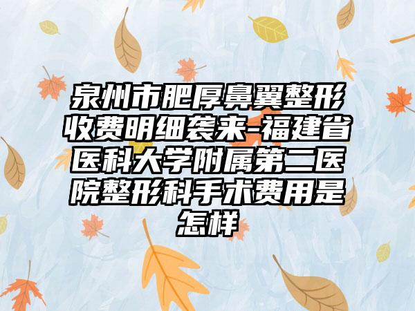 泉州市肥厚鼻翼整形收费明细袭来-福建省医科大学附属第二医院整形科手术费用是怎样