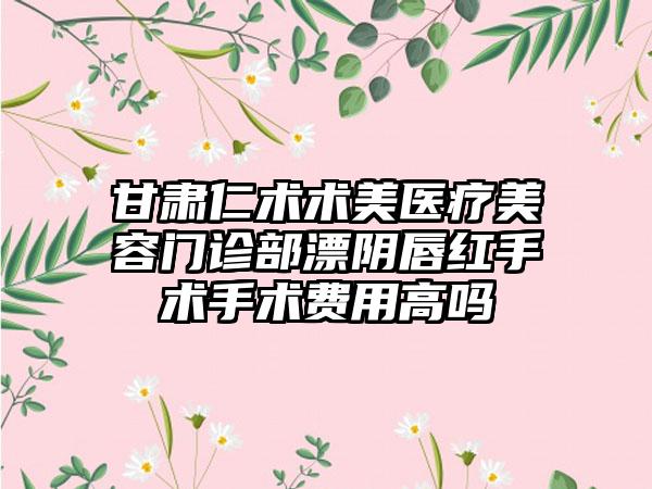甘肃仁术术美医疗美容门诊部漂阴唇红手术手术费用高吗