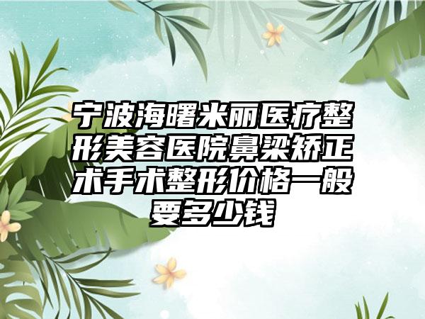 宁波海曙米丽医疗整形美容医院鼻梁矫正术手术整形价格一般要多少钱