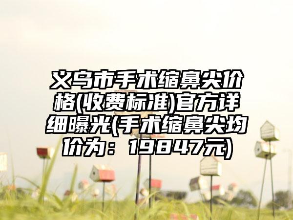义乌市手术缩鼻尖价格(收费标准)官方详细曝光(手术缩鼻尖均价为：19847元)