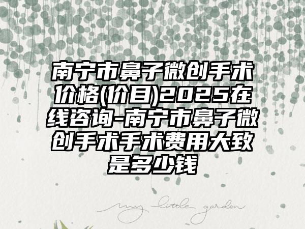 南宁市鼻子微创手术价格(价目)2025在线咨询-南宁市鼻子微创手术手术费用大致是多少钱