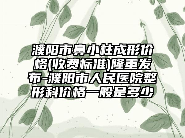 濮阳市鼻小柱成形价格(收费标准)隆重发布-濮阳市人民医院整形科价格一般是多少
