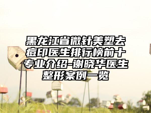 黑龙江省微针美塑去痘印医生排行榜前十专业介绍-谢晓华医生整形案例一览