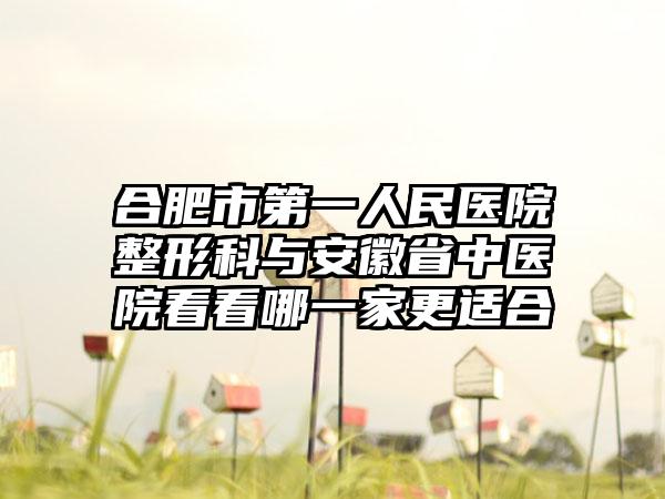 合肥市第一人民医院整形科与安徽省中医院看看哪一家更适合