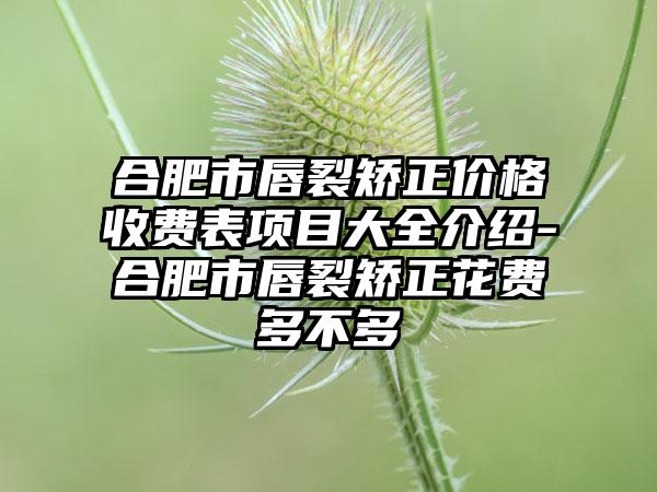 合肥市唇裂矫正价格收费表项目大全介绍-合肥市唇裂矫正花费多不多