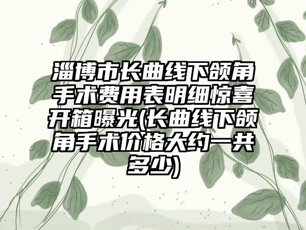 淄博市长曲线下颌角手术费用表明细惊喜开箱曝光(长曲线下颌角手术价格大约一共多少)