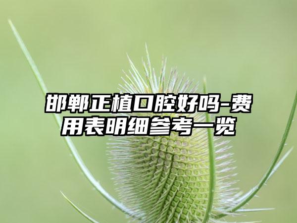 邯郸正植口腔好吗-费用表明细参考一览