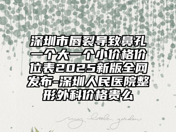 深圳市唇裂导致鼻孔一个大一个小价格价位表2025新版全网发布-深圳人民医院整形外科价格贵么