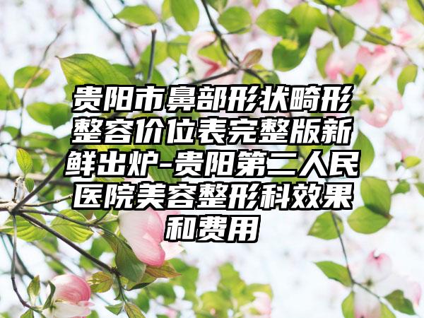 贵阳市鼻部形状畸形整容价位表完整版新鲜出炉-贵阳第二人民医院美容整形科效果和费用