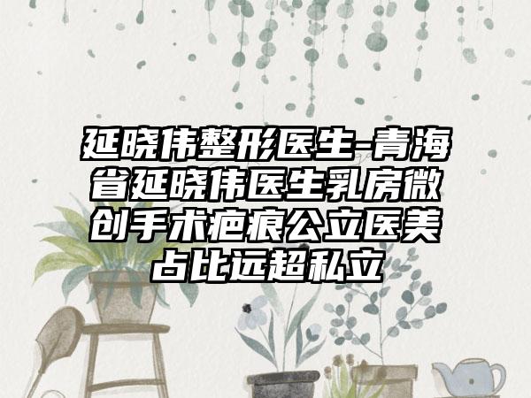 延晓伟整形医生-青海省延晓伟医生乳房微创手术疤痕公立医美占比远超私立
