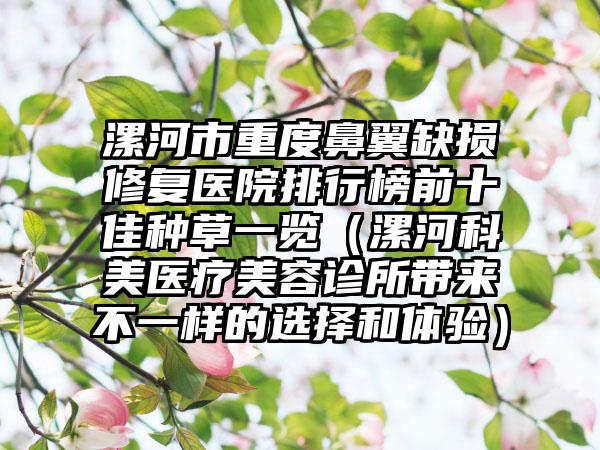 漯河市重度鼻翼缺损修复医院排行榜前十佳种草一览（漯河科美医疗美容诊所带来不一样的选择和体验）
