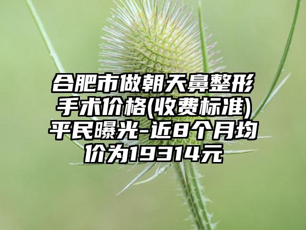 合肥市做朝天鼻整形手术价格(收费标准)平民曝光-近8个月均价为19314元