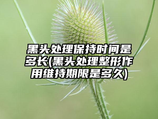 黑头处理保持时间是多长(黑头处理整形作用维持期限是多久)