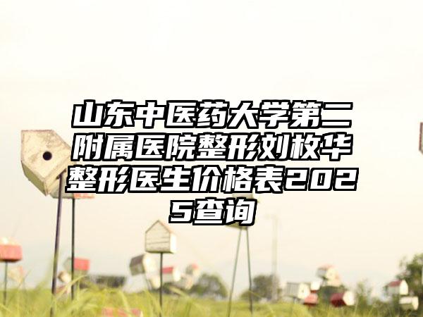 山东中医药大学第二附属医院整形刘枚华整形医生价格表2025查询