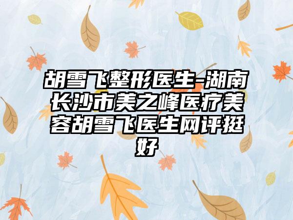 胡雪飞整形医生-湖南长沙市美之峰医疗美容胡雪飞医生网评挺好