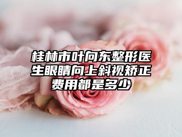 桂林市叶向东整形医生眼睛向上斜视矫正费用都是多少