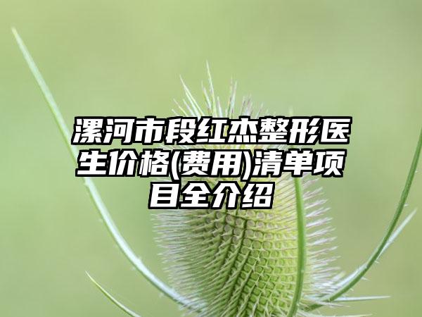 漯河市段红杰整形医生价格(费用)清单项目全介绍