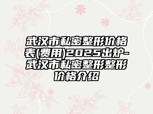 武汉市私密整形价格表(费用)2025出炉-武汉市私密整形整形价格介绍