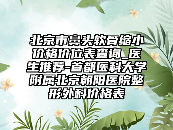 北京市鼻头软骨缩小价格价位表查询_医生推荐-首都医科大学附属北京朝阳医院整形外科价格表
