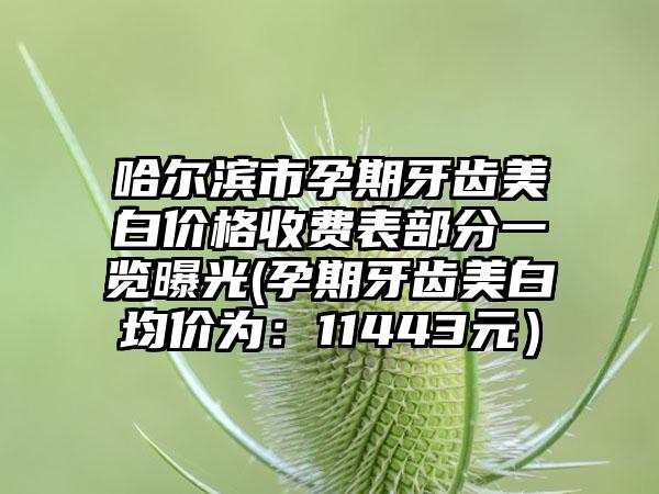 哈尔滨市孕期牙齿美白价格收费表部分一览曝光(孕期牙齿美白均价为：11443元）