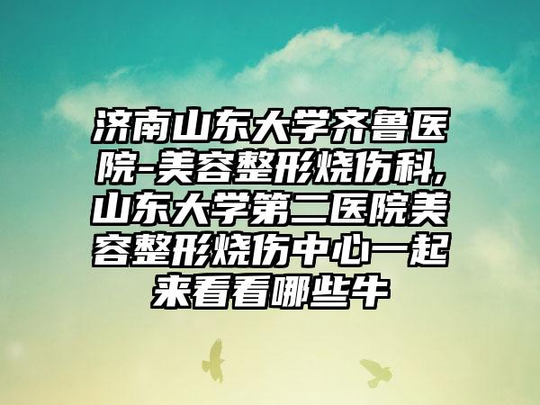济南山东大学齐鲁医院-美容整形烧伤科,山东大学第二医院美容整形烧伤中心一起来看看哪些牛