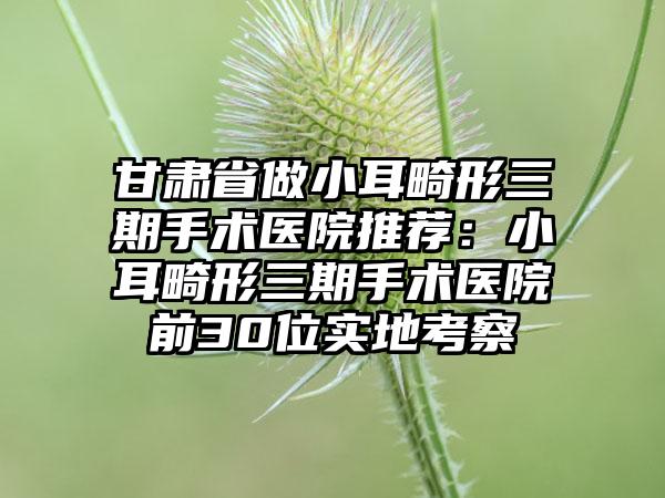 甘肃省做小耳畸形三期手术医院推荐：小耳畸形三期手术医院前30位实地考察