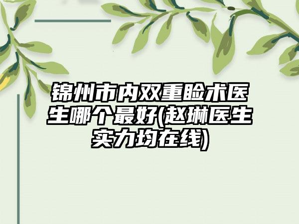 锦州市内双重睑术医生哪个最好(赵琳医生实力均在线)
