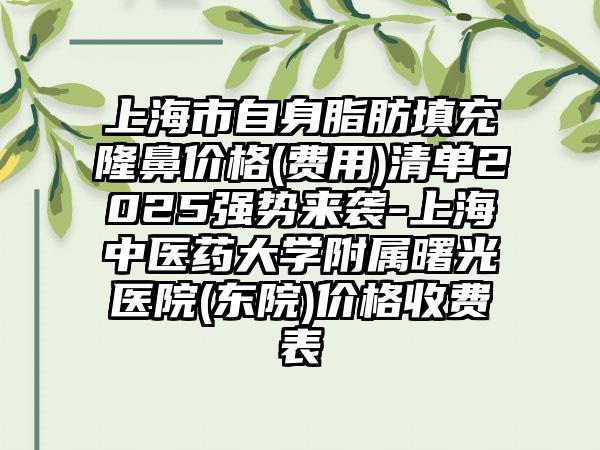 上海市自身脂肪填充隆鼻价格(费用)清单2025强势来袭-上海中医药大学附属曙光医院(东院)价格收费表