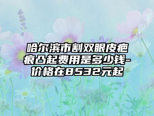 哈尔滨市割双眼皮疤痕凸起费用是多少钱-价格在8532元起