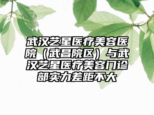 武汉艺星医疗美容医院（武昌院区）与武汉艺星医疗美容门诊部实力差距不大