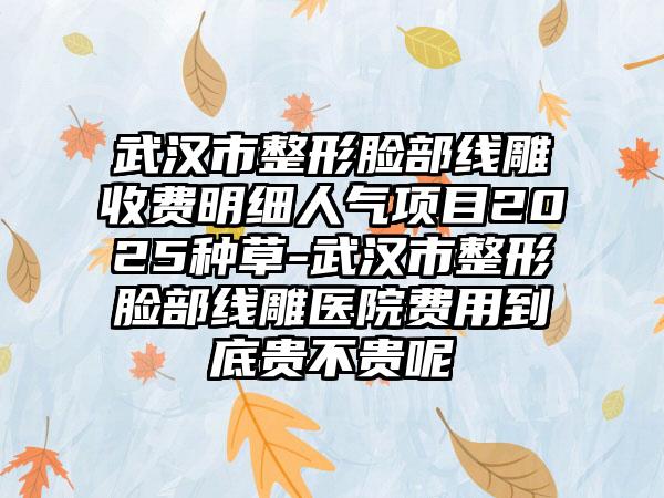 武汉市整形脸部线雕收费明细人气项目2025种草-武汉市整形脸部线雕医院费用到底贵不贵呢