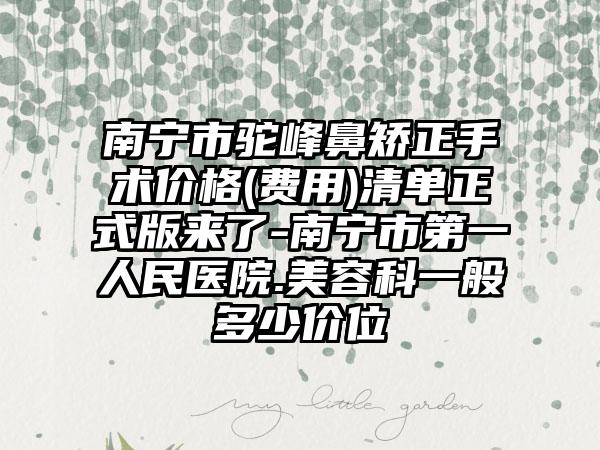南宁市驼峰鼻矫正手术价格(费用)清单正式版来了-南宁市第一人民医院.美容科一般多少价位