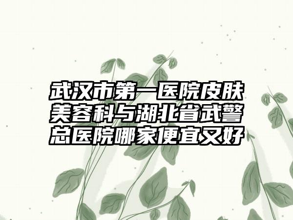 武汉市第一医院皮肤美容科与湖北省武警总医院哪家便宜又好