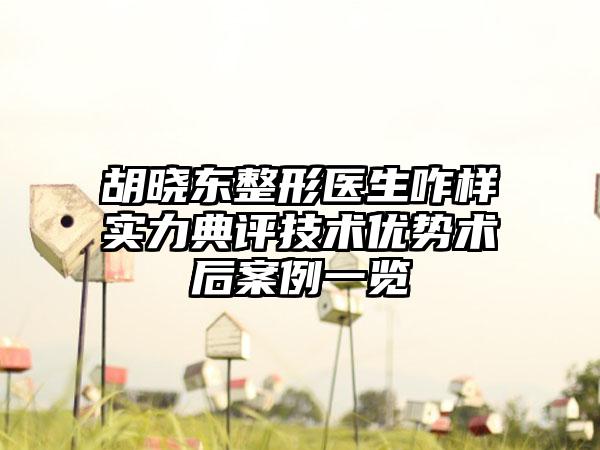 胡晓东整形医生咋样实力典评技术优势术后案例一览