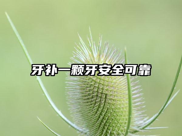 牙补一颗牙安全可靠