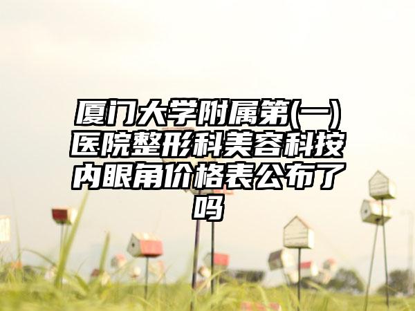 厦门大学附属第(一)医院整形科美容科按内眼角价格表公布了吗